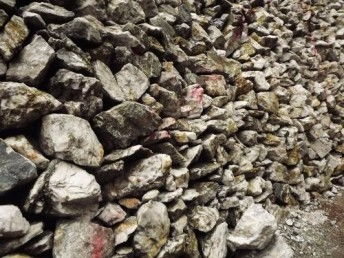 圖 鹽田港礦石類產品怎么進口,成本高嗎 廣州物流